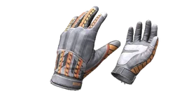 Gloves Autumn